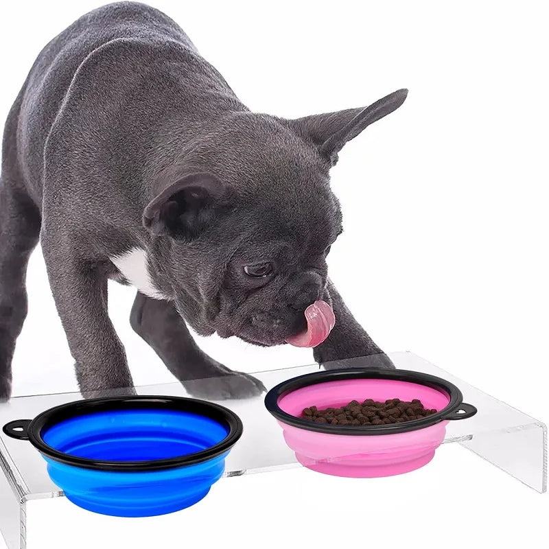 Folding Portable Silicone Dog Feeder Bowl 2 In 1 Pet Dispenser Outdoor Travel Dog Cat with Carabiner Bottle Food Water Container