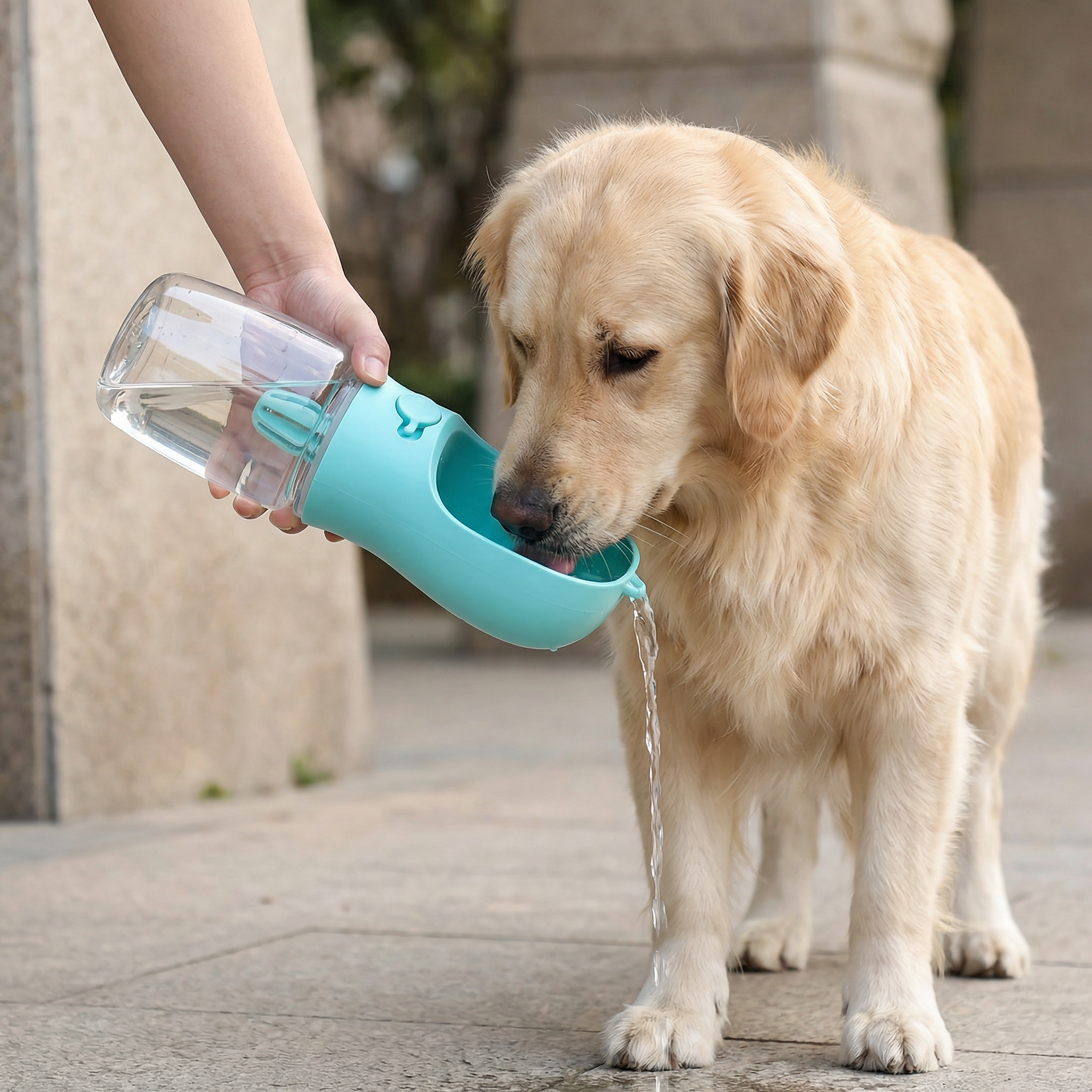 HydraSnack – Portable Water & Food Travel Bottle