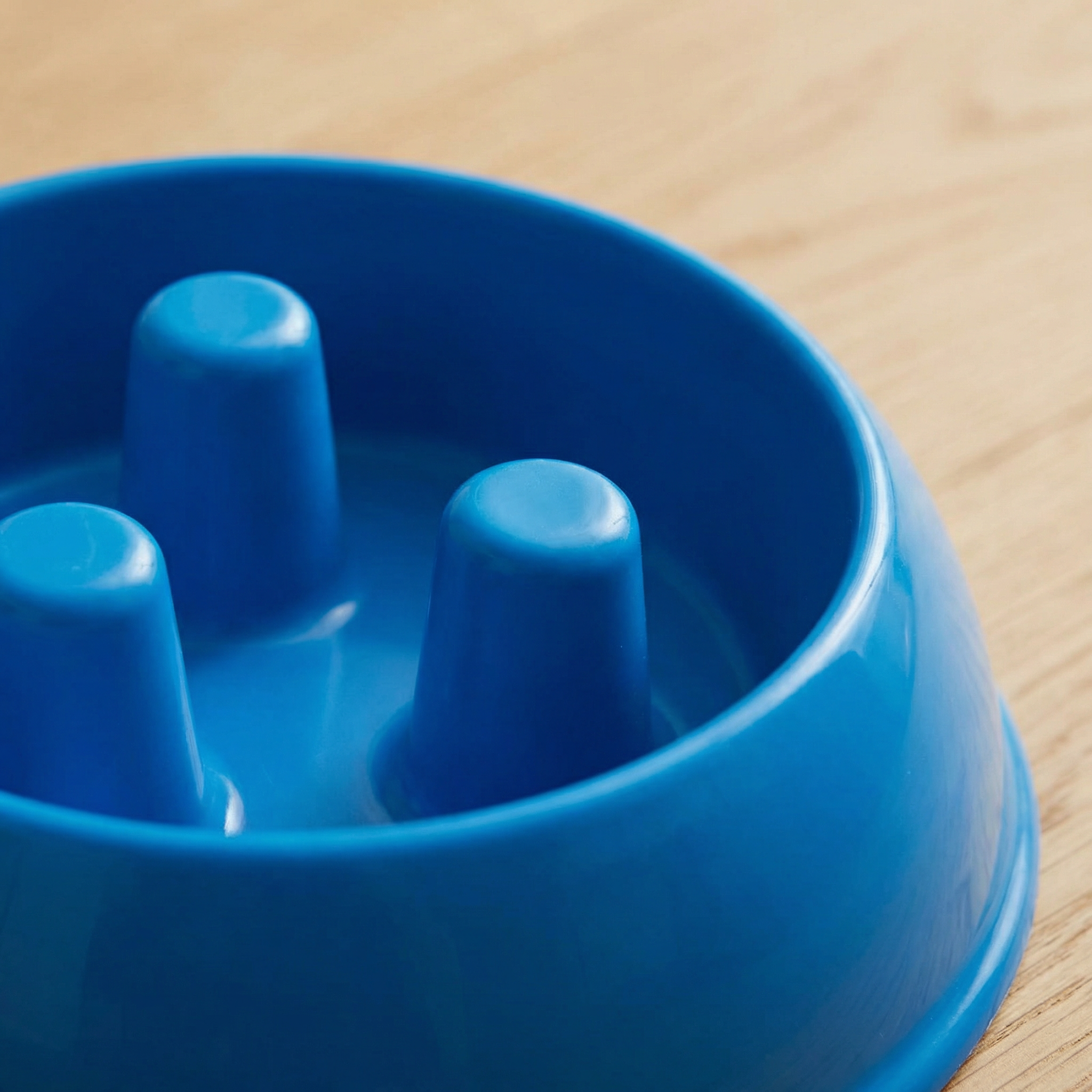 SlowPaw Anti-Gulp Feeding Bowl