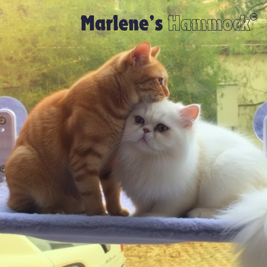 Marlene’s Signature Hammock™