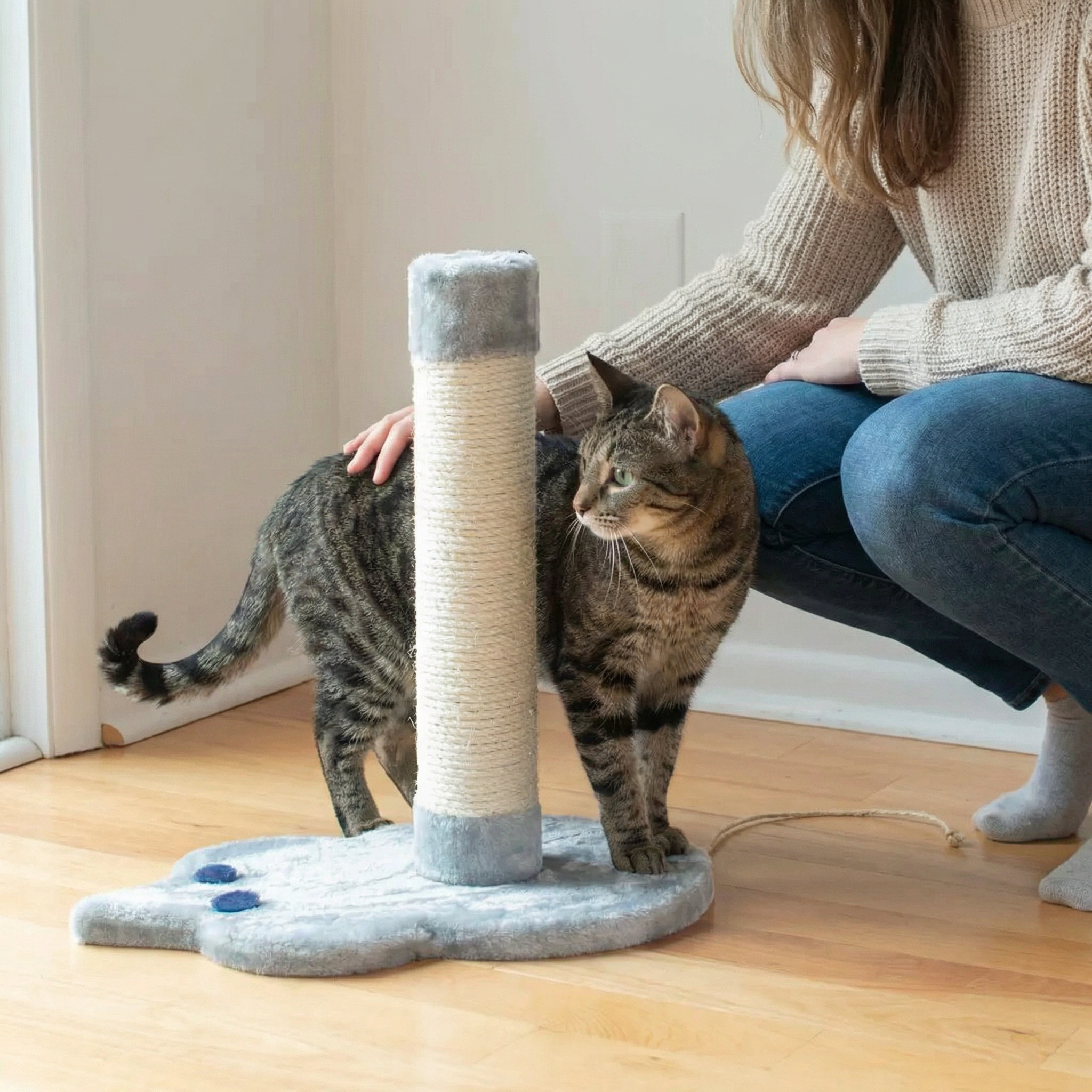 Cat Scratcher Toy