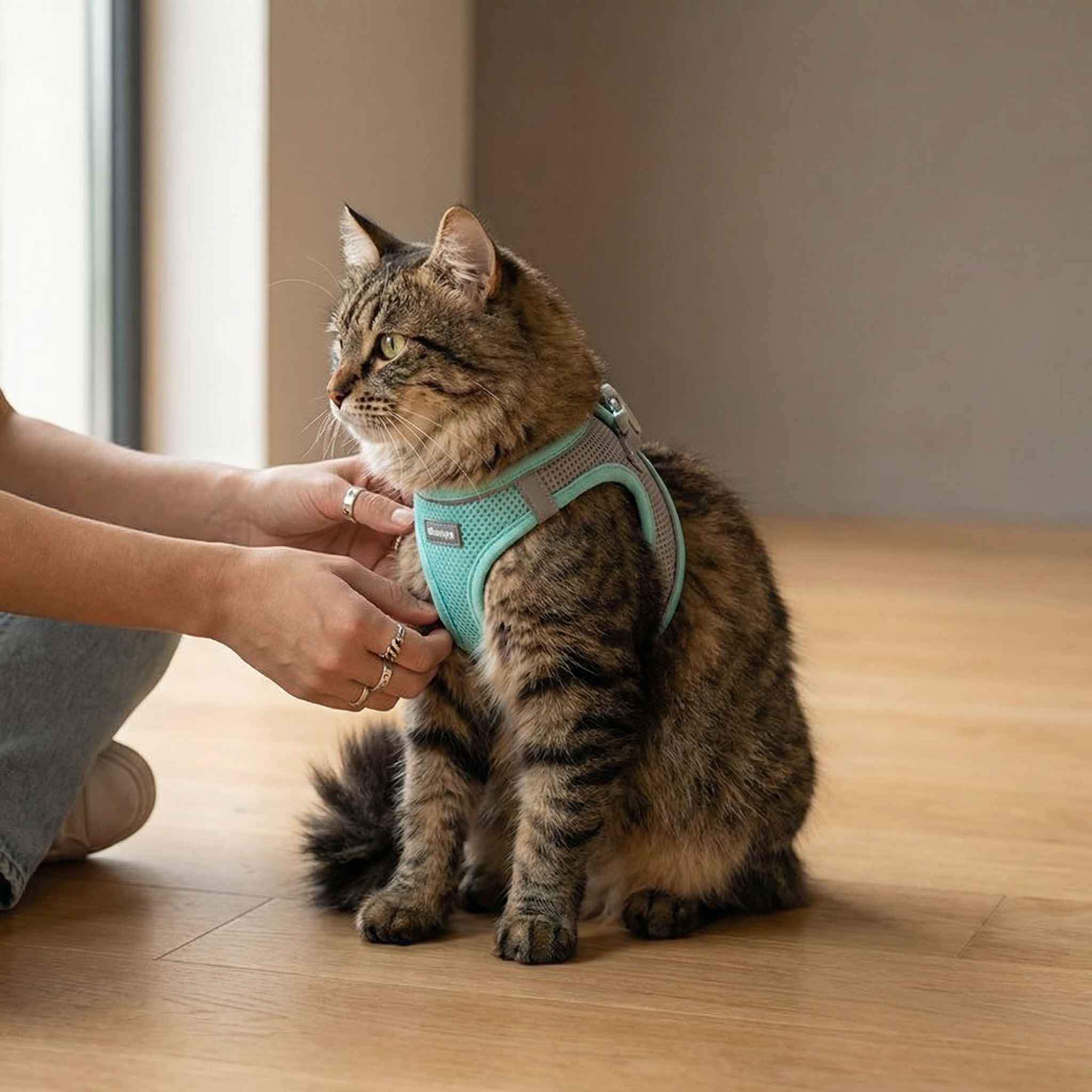AirStride - Adjustable Comfort Cat Harness